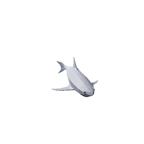 Shark White